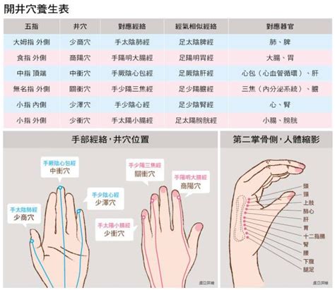 手指對應五臟|保養五臟六腑！ 手掌穴位一次搞定